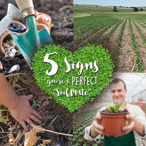 Five Signs You Might Be the Perfect ‘Soil Mate’