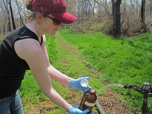 Flushed Away…Probing For Antibiotic Presence in Our Food Supply