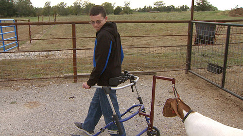 How 4-H Rocks for Missouri Youth of All Abilities