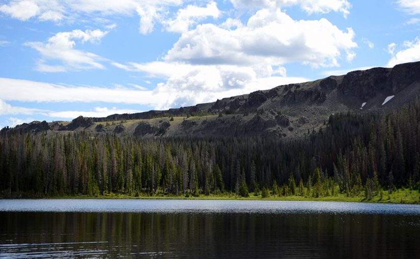 National Forests Named after U.S. Presidents