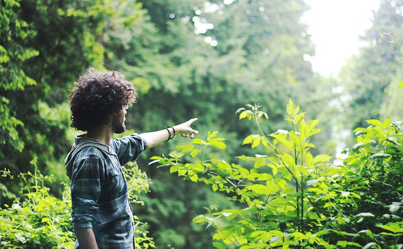 What to Do if You Are Lost in a Forest