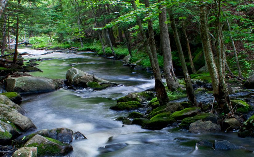 The Congressional Review Act & Its Current Impact on Our Environment