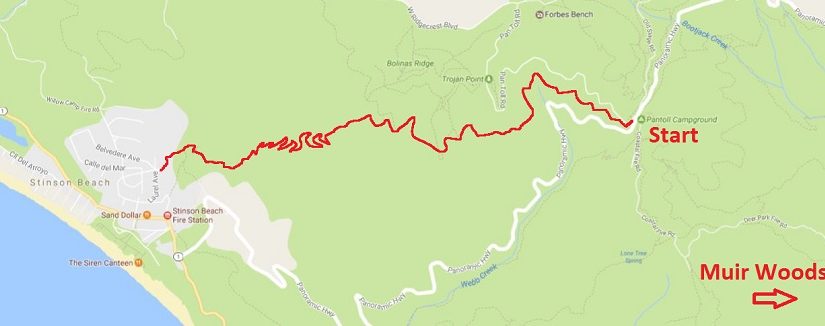 Trail Focus: The Matt Davis Trail, Mt. Tamalpais, California