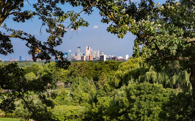 In Search of 141 Million Acres of Urban Forest