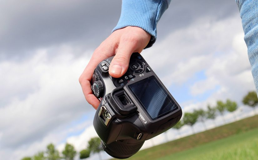 10 Nature Photography Tips for Beginners