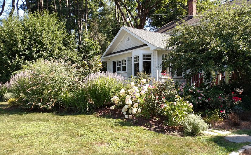 Spring Landscaping Tips: Plant a Forest, Lower Your Bills