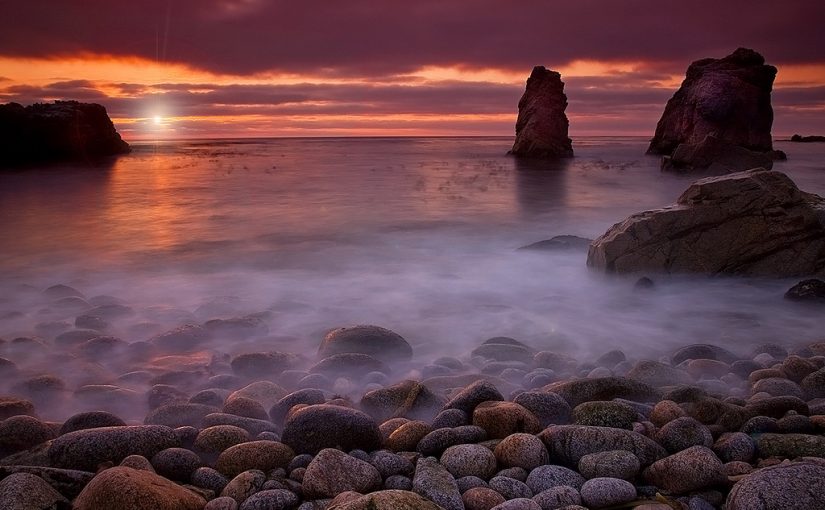 Seeing Nature through the Eyes of 5 Photographers
