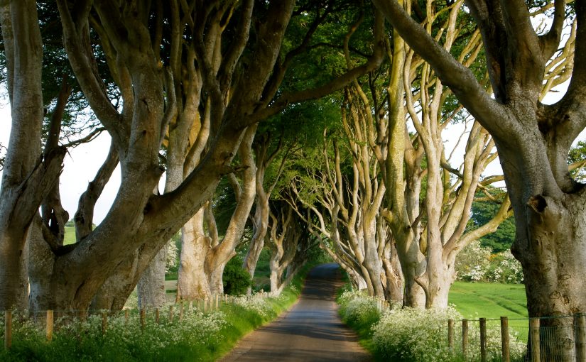 10 Most Instagrammable Locations for a Treehugger