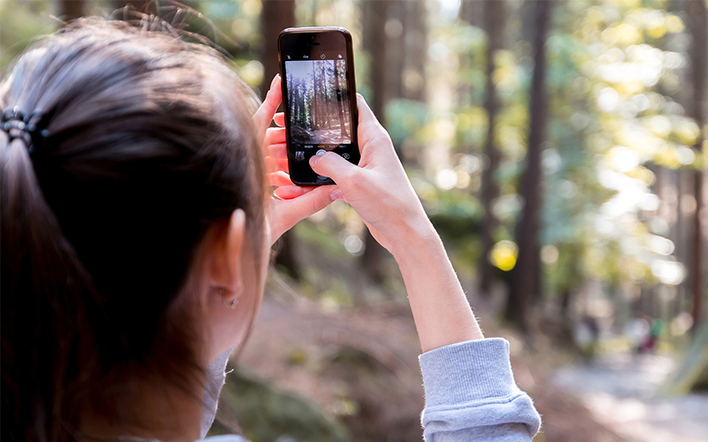 7 Free iPhone Apps for Hikers, Birders and Nature Lovers