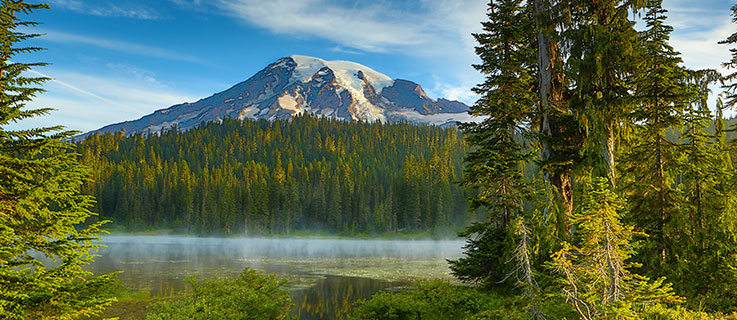 10 Family-Friendly Forests