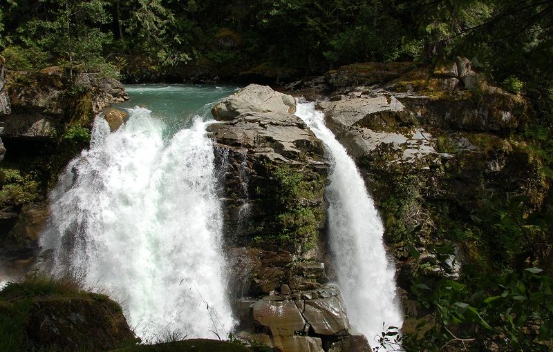 Nooksack is Back: Restoring Riparian Habitats
