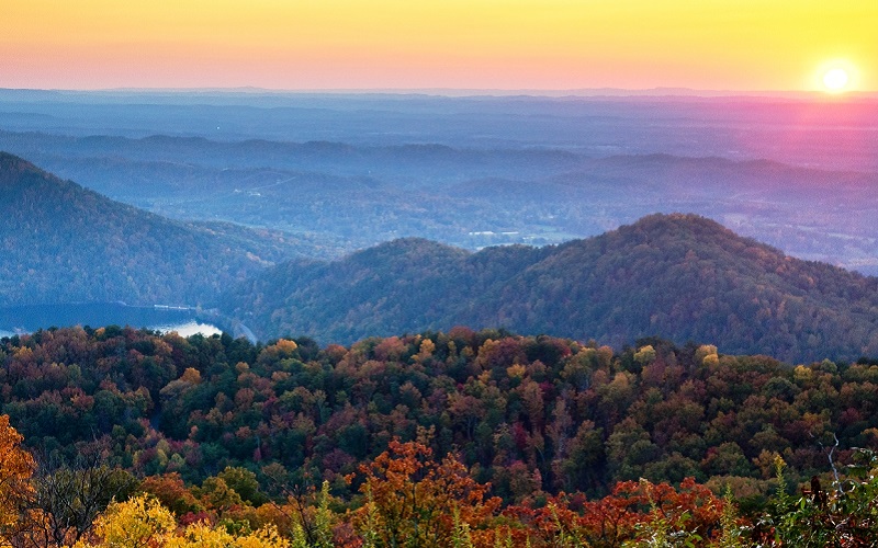 Hidden Pasts of Our National Forests