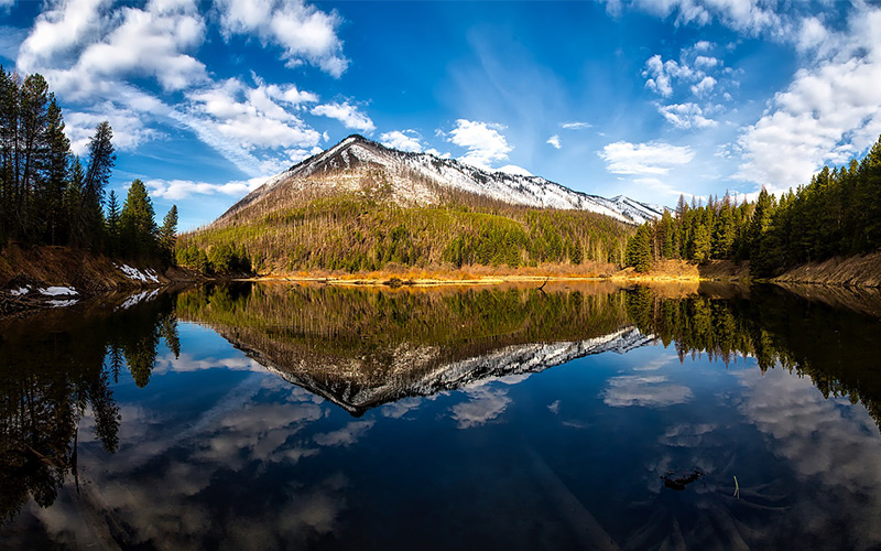 8 Best National Park Campgrounds in the U.S.