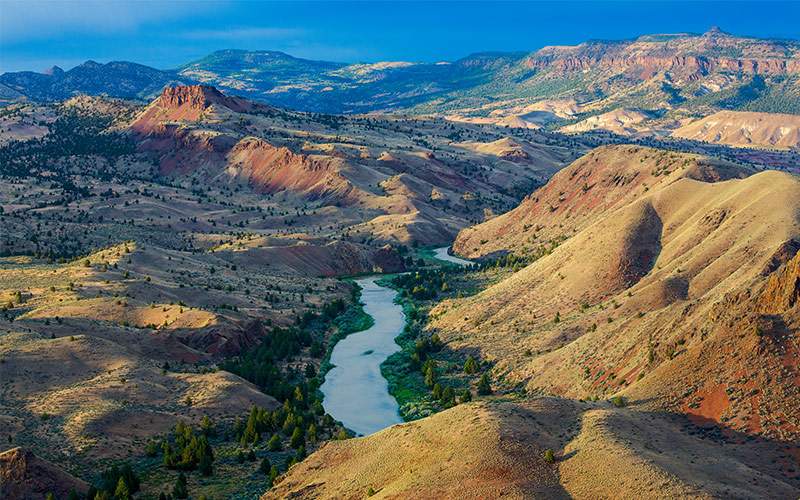 Wilderness of the Pacific Northwest: A Photo Essay