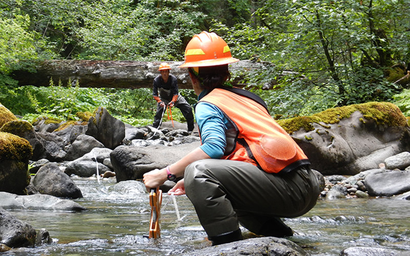 Outdoor Jobs for Nature Lovers