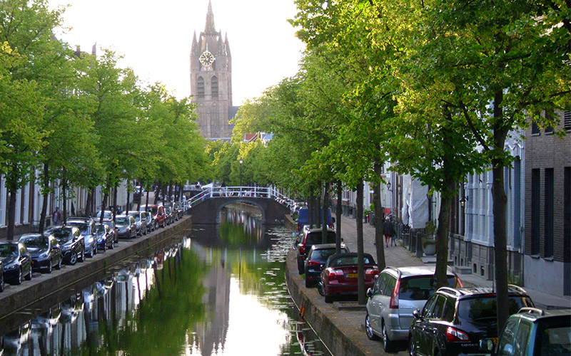 Trees and Hedges Keeping Cities Healthy