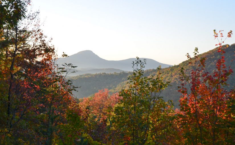 Celebrate the First Day of Fall