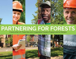 “Partnering for Forests”: A Look at Our Latest Publication