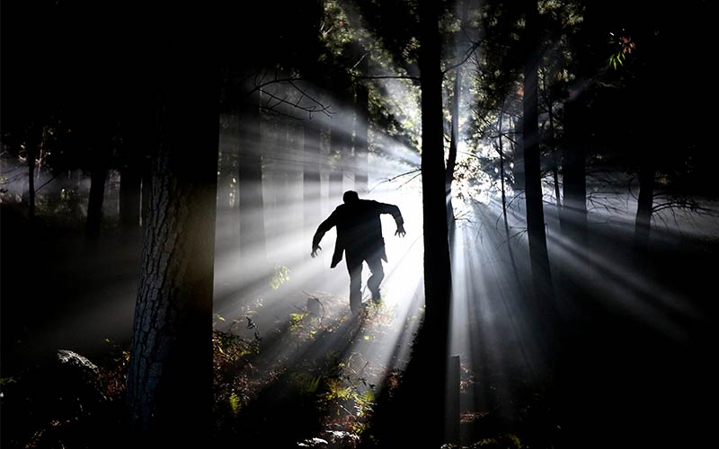 Scary Cryptids and the Lands They Live In