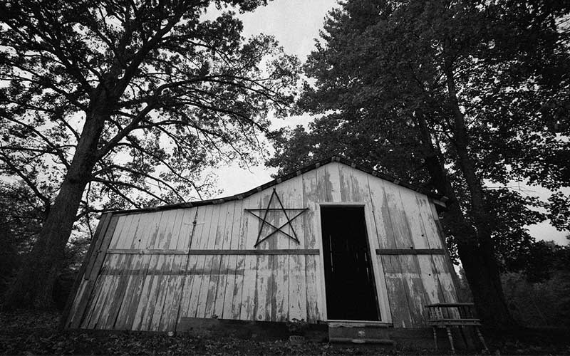 Scary Movies Filmed in Forests