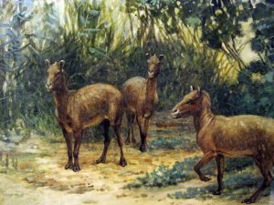 Forest Digest: November 5, 2017