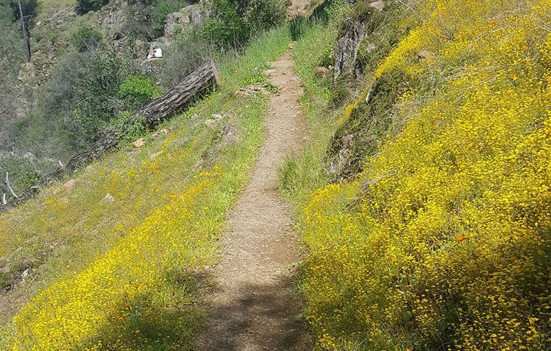 6 Great Hiking Trails to Get You Back into the Spring of Things