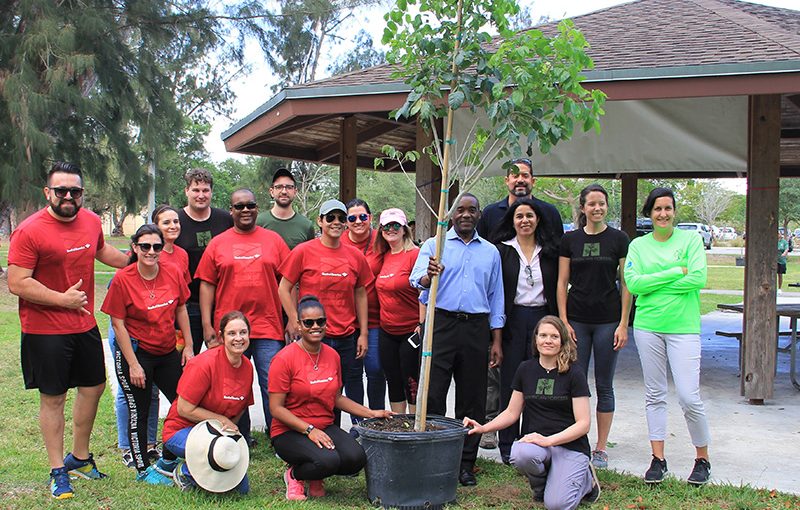 Restoring Miami’s Tree Canopy with Bank of America