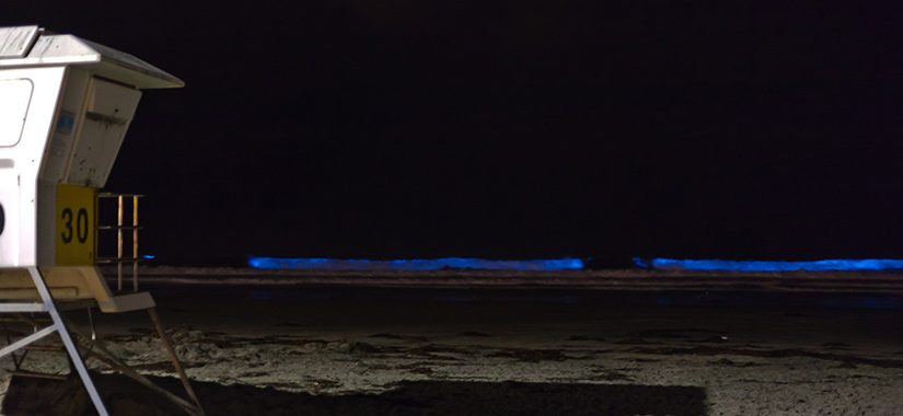 Natural Phenomena in the U.S.