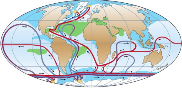 Does a slow AMOC increase the rate of global warming?