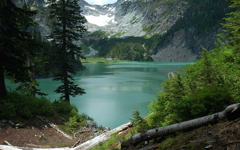 Forest Digest: August 26, 2018