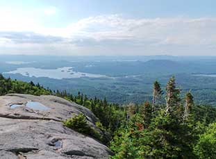 American Forests Responds: Confirmation of Jim Hubbard as  USDA Undersecretary for Natural Resources and Environment