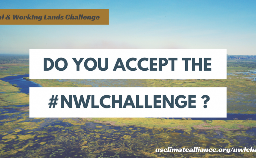 American Forests Is First Nonprofit to Accept U.S. Climate Alliance’s Natural and Working Lands Challenge