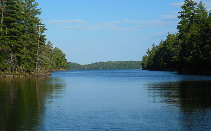 Forest Digest: September 23, 2018