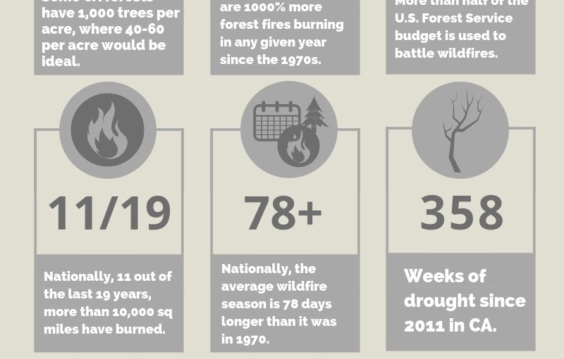 American Forests Responds: California Wildfires