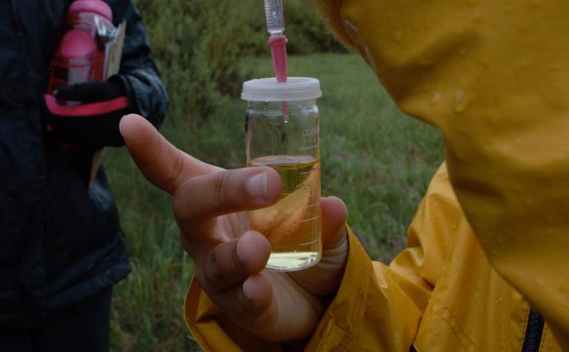 The Importance of Citizen Scientists