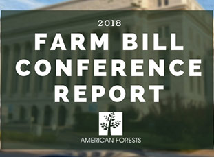 American Forests Applauds Provisions for Forestry in 2018 Farm Bill Conference Report