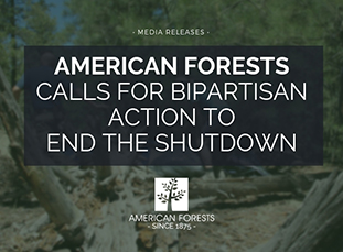 American Forests Calls for Bipartisan Action to End the Shutdown