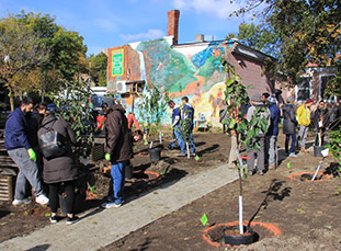 Planting Recap: Shoreline, Seattle