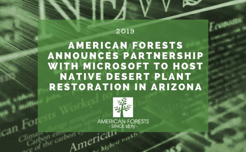 American Forests Announces Partnership with Microsoft to Host Native Desert Plant Restoration in Arizona