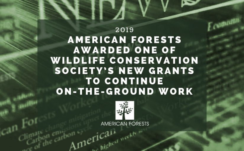 American Forests Awarded One of Wildlife Conservation Society’s New Grants to Continue On-The-Ground Work