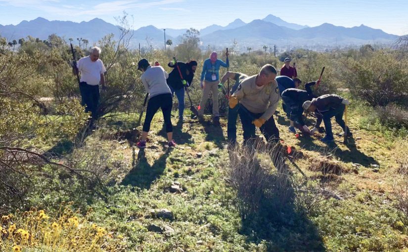 American Forests and Microsoft Host a Successful Native Desert Plant Restoration in Arizona