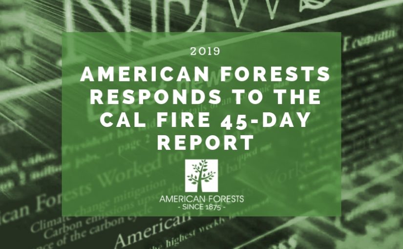 American Forests Responds to the CAL FIRE 45-Day Report